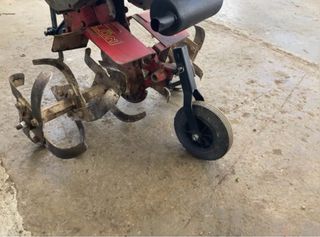 Motoazada mollon