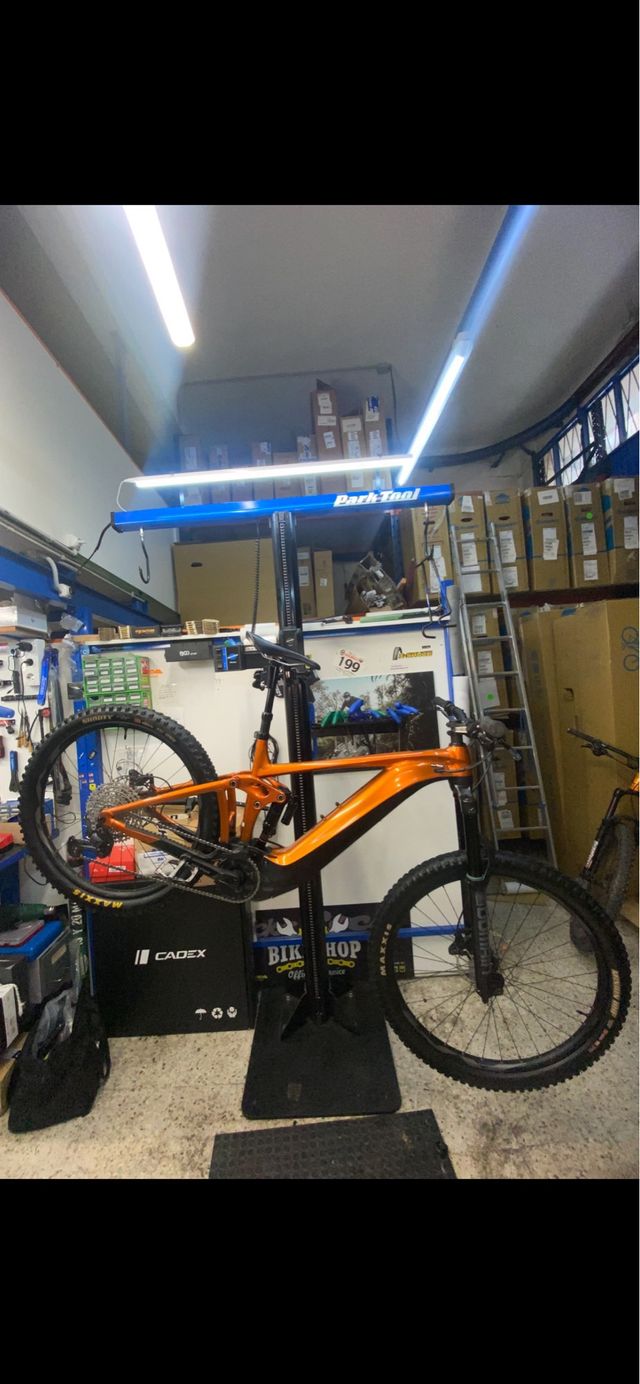 E-Bike Giant reign e