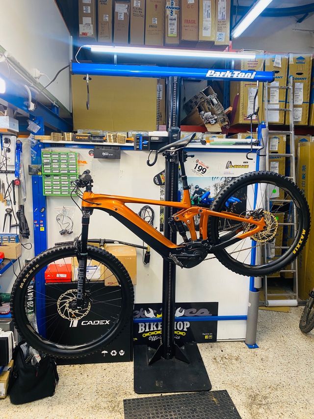 E-Bike Giant reign e