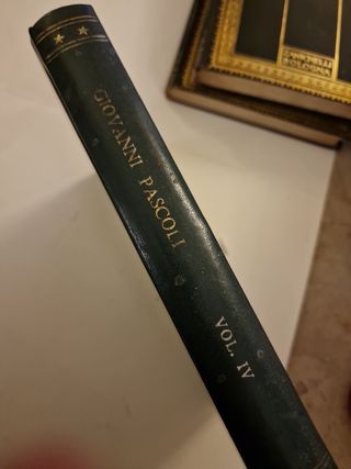 Poesie g.Pascoli canti di castelvecchio