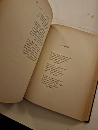 Poesie g.Pascoli canti di castelvecchio