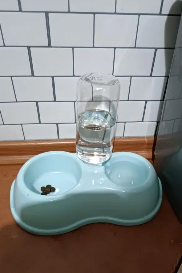 Distributore acqua/cibo per gatti e cani