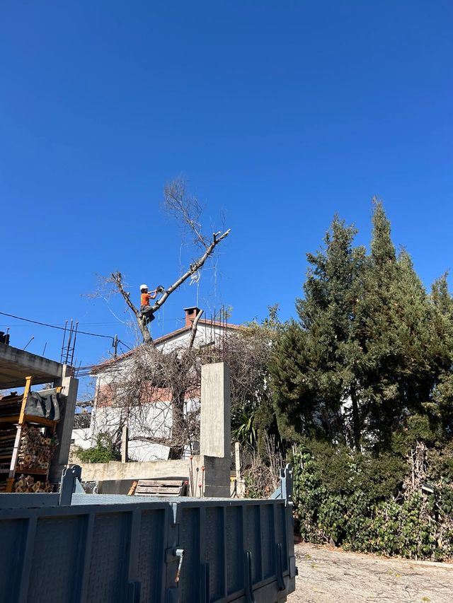 Trabajos verticales en altura.