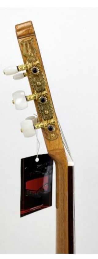 Guitarra flamenca AUTOAMPLIFICADA