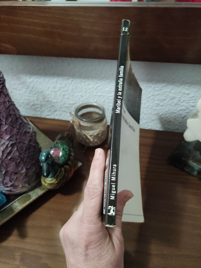 Libro escolar,  Maribel y la extraña familia