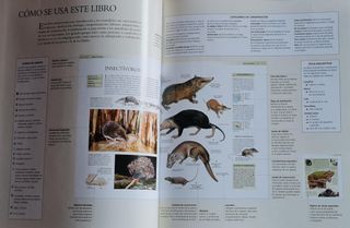 Libro MAMÍFEROS I de National Geographic