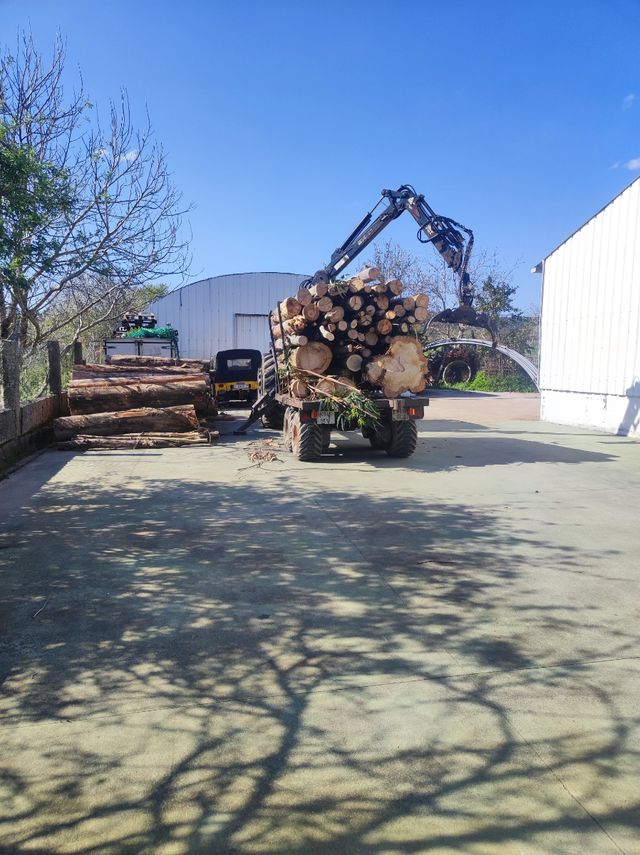 Leña eucalipto rachada tel:698143885