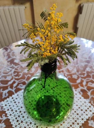 Damigiana in vetro verde da litri 5