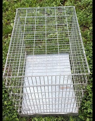 Gabbia pieghevole tg L