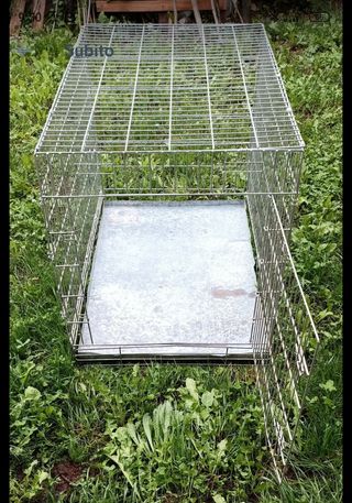 Gabbia pieghevole tg L