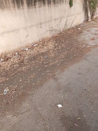 Jardinero, pintor, parcelas