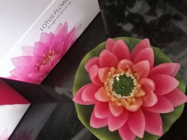 Pack 2 velas nenúfares