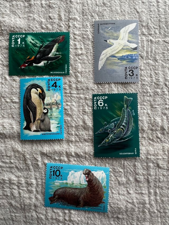 SELLOS Y MATASELLOS TEMA ANTARTIDA