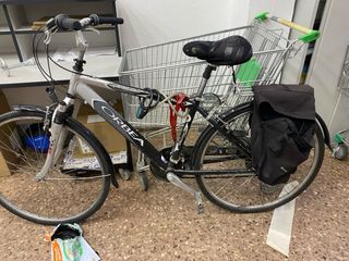 Bicicleta mujer paseo 