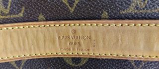 TRASPORTIN LOUIS VUITTON DOG CARRIER 50