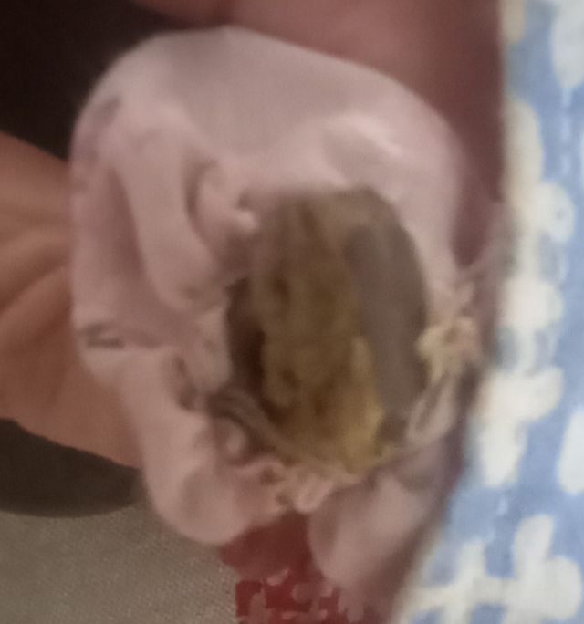 Muñeco con dos cabezas