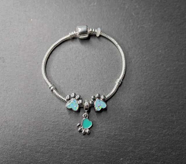 PULSERAS CADENA DE SERPIENTE CON CHARMS