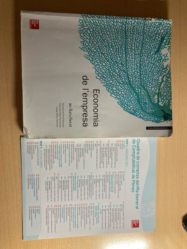 Libro Economia de la empresa 2n bachillerato