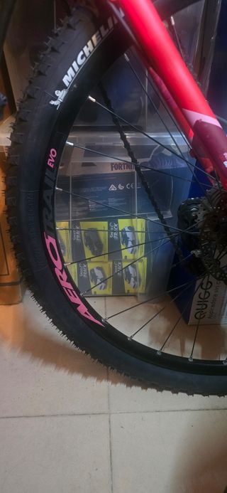 Bicicleta montaña