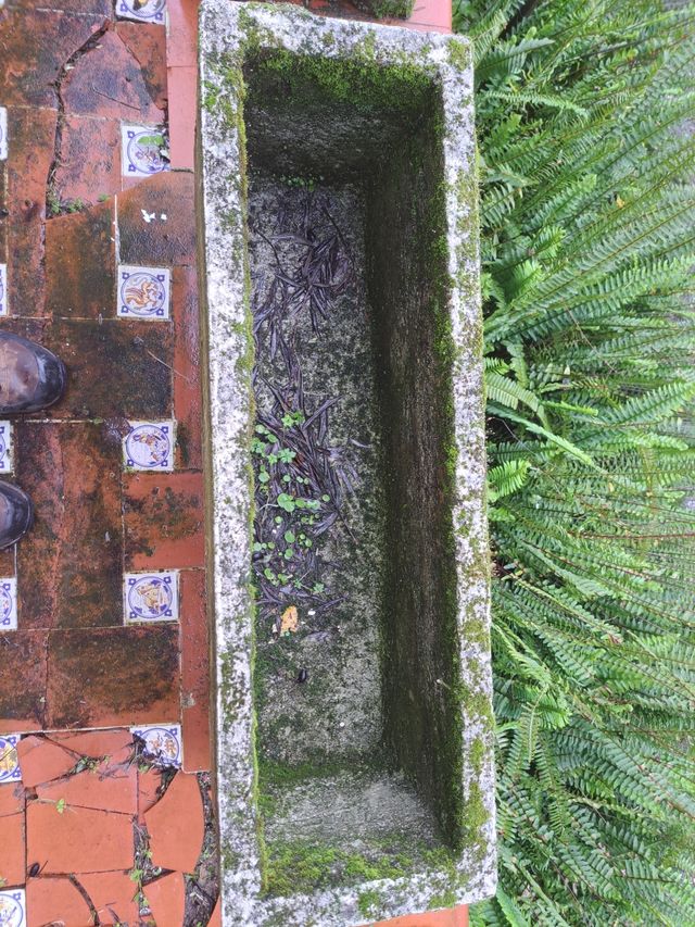 Maceta vintage hormigon tallada