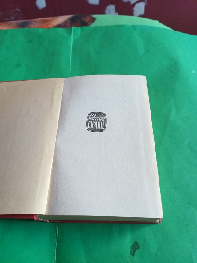 Libro antiguo Hortensia (1965)