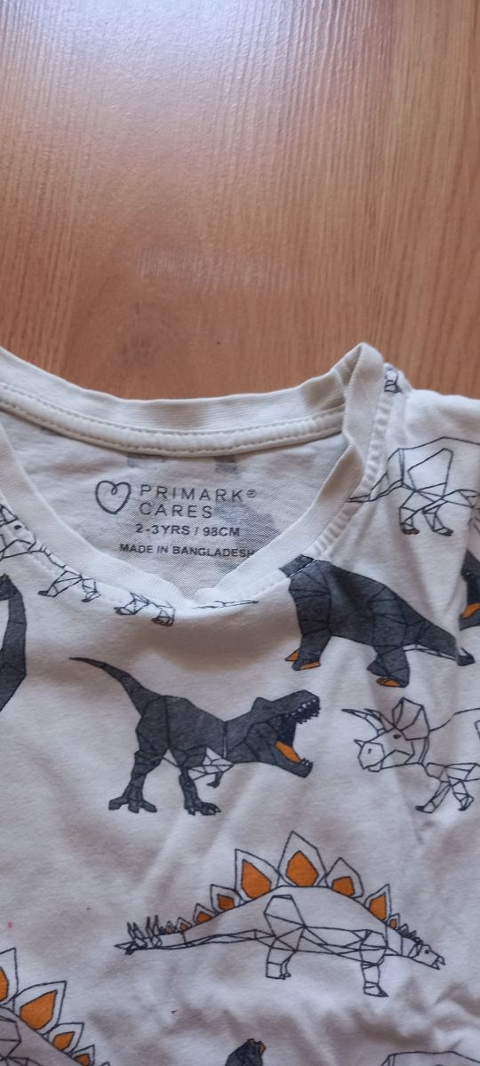 Camiseta dinosaurios