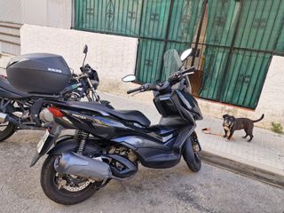 Moto Zontes M310