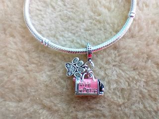 Charm mascota plata de ley