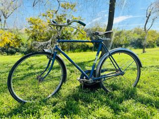 Bicicleta de varillas orbea