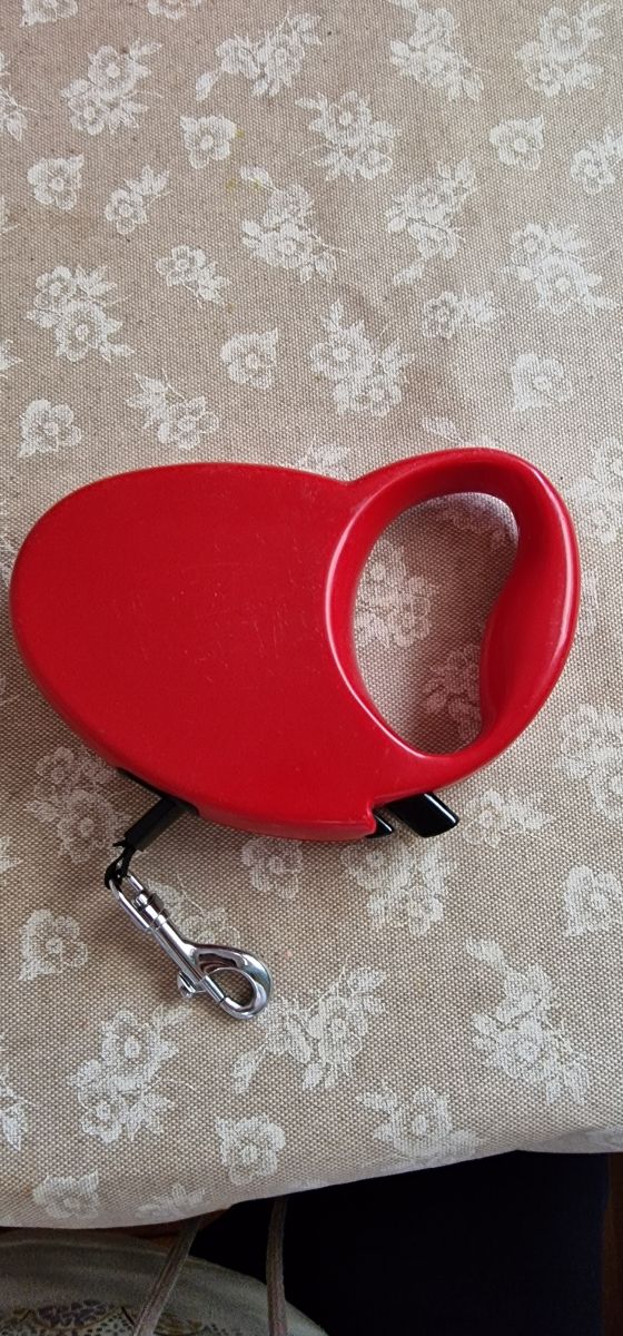 Correa perro, 5 metros