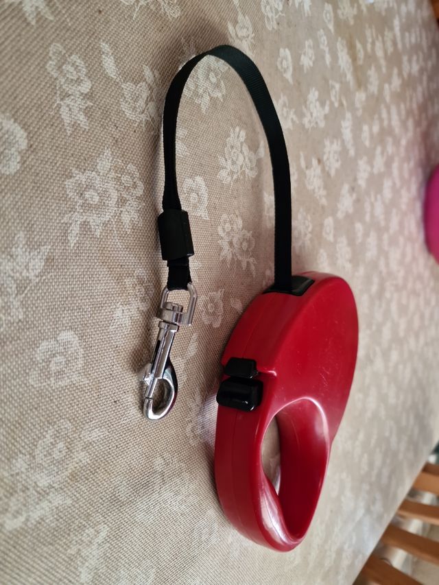 Correa perro, 5 metros