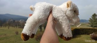 Peluche Agnello