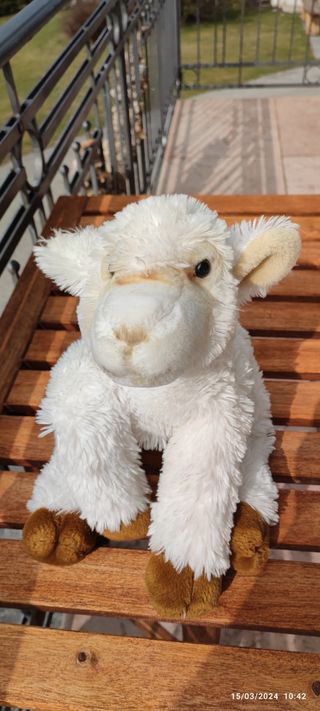 Peluche Agnello