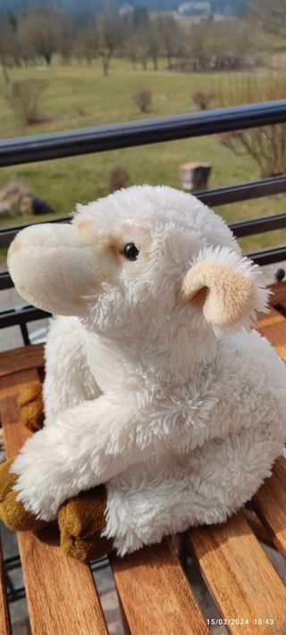 Peluche Agnello