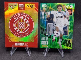 Lote 79 cromos Girona.
