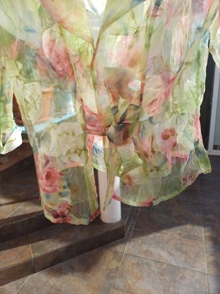 Camisa de vestir transparente 