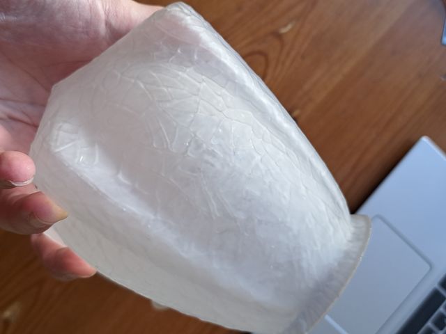 Tulipas modernistas antiguas 