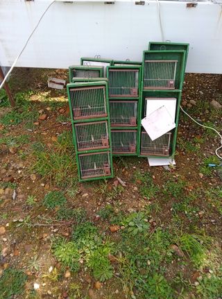 Se venden cajoneras
