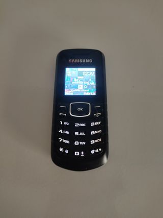 Cellulare Samsung - GT-E 108 w
