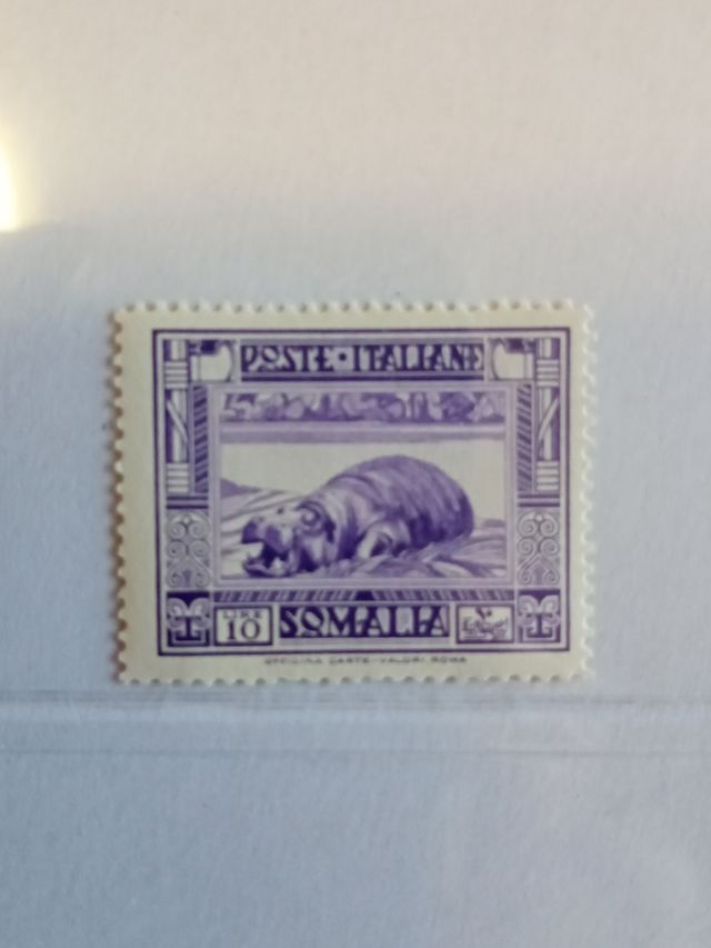 Francobollo Ippopotamo viola