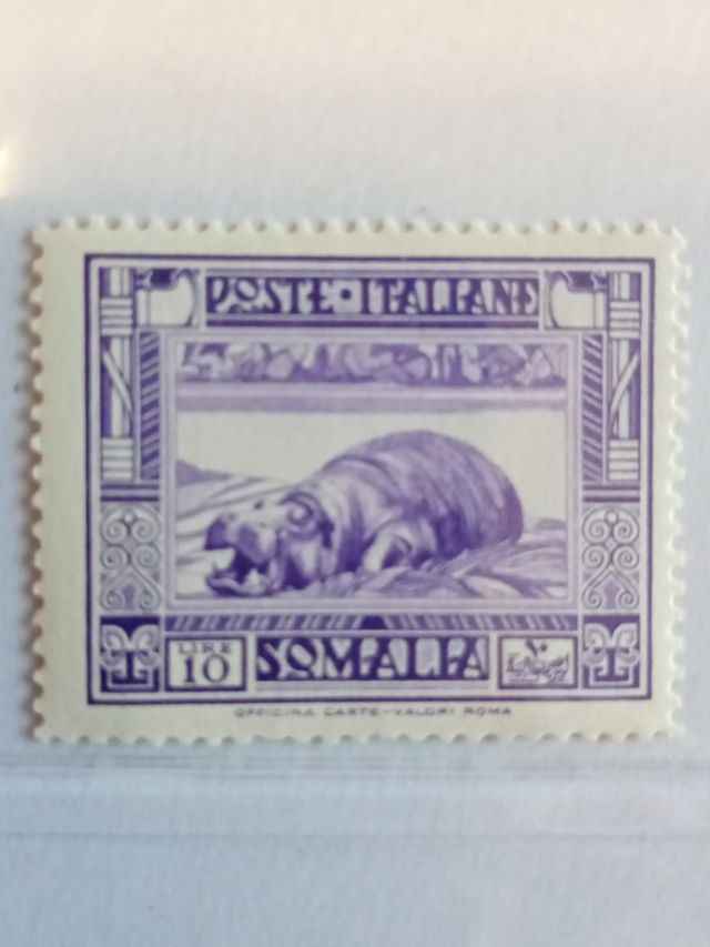 Francobollo Ippopotamo viola