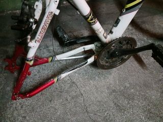 Cuadro y rueda delantera marca Monty