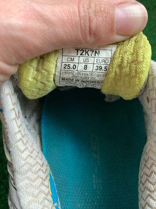 Asics gt 2000