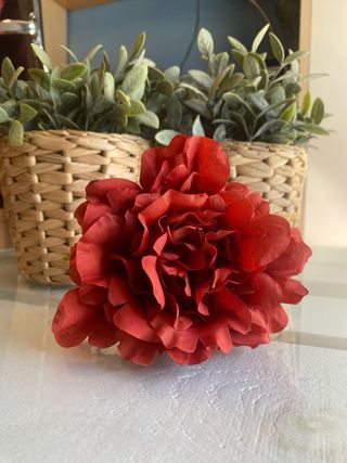 Peonia teja flamenca