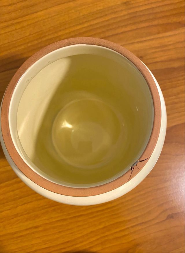 Ciotola contenitore. Vergnano