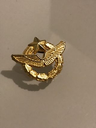 Insignia piloto avión