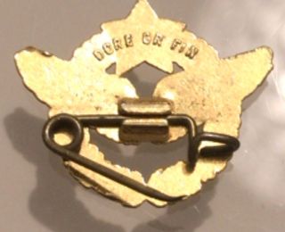 Insignia piloto avión