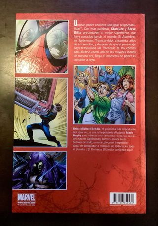 Lote comic Spiderman