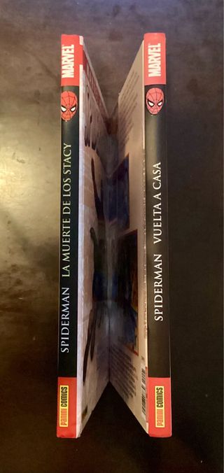 Lote comic Spiderman