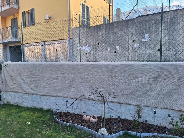 Oscurante recinsione